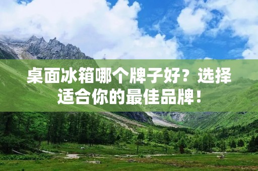 桌面冰箱哪个牌子好？选择适合你的最佳品牌！