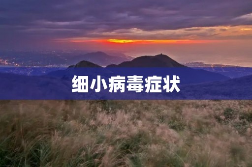 细小病毒症状:了解这种微小敌人的表现