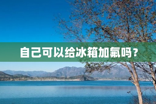 自己可以给冰箱加氟吗？
