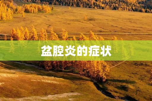 盆腔炎的症状:详细描述