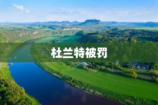 杜兰特被罚:职业道德的重要性与NBA球员的责任 杜兰特被罚:职业道德的重要性与NBA球员的责任