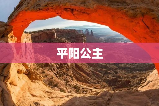平阳公主:唐朝文化交流的使者与历史传奇