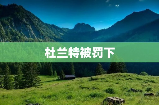 杜兰特被罚下:一场决定胜负的转折点 杜兰特被罚下:一场决定胜负的转折点