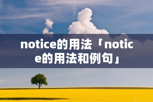 notice的用法「notice的用法和例句」