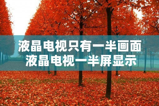 液晶电视只有一半画面 液晶电视一半屏显示不正常