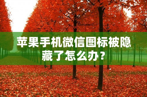 苹果手机微信图标被隐藏了怎么办?