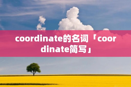 coordinate的名词「coordinate简写」