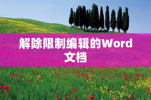 解除限制编辑的Word文档