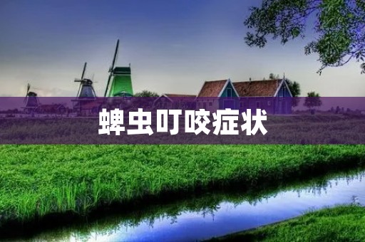 蜱虫叮咬症状:详细描述与预防措施