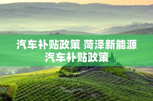 汽车补贴政策 菏泽新能源汽车补贴政策 汽车补贴政策 菏泽新能源汽车补贴政策