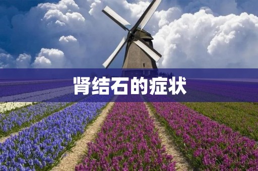 肾结石的症状:了解肾结石的常见症状及其原因