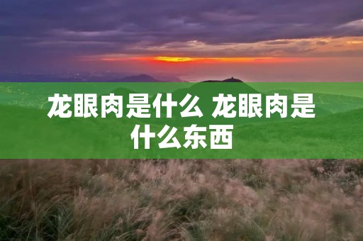 龙眼肉是什么 龙眼肉是什么东西