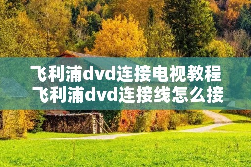 飞利浦dvd连接电视教程 飞利浦dvd连接线怎么接