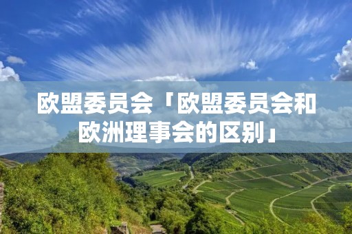 欧盟委员会「欧盟委员会和欧洲理事会的区别」