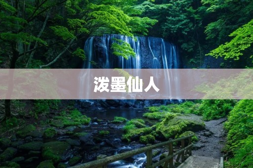泼墨仙人:一幅艺术与哲思的交织之作