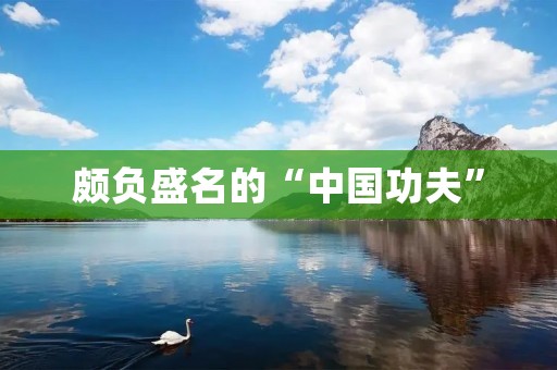 颇负盛名的“中国功夫”:传承千年的瑰宝