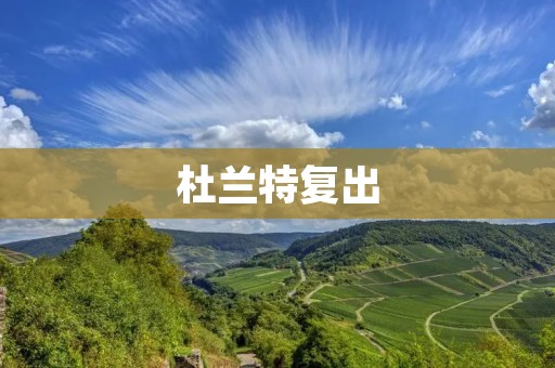 杜兰特复出：重返球场的战士