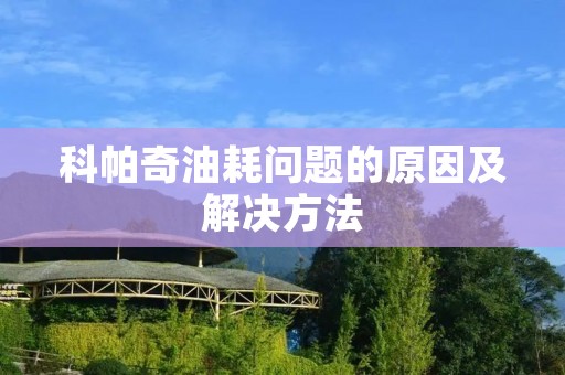 科帕奇油耗问题的原因及解决方法 科帕奇油耗问题的原因及解决方法