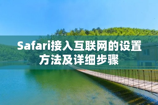 Safari接入互联网的设置方法及详细步骤