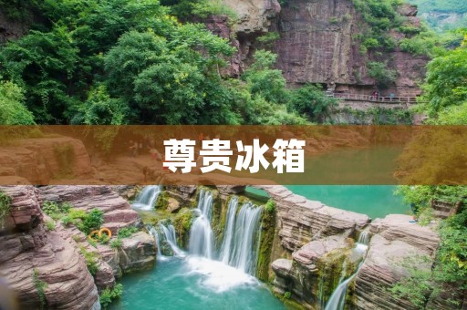 尊贵冰箱：品质与尊贵并存的高端品牌