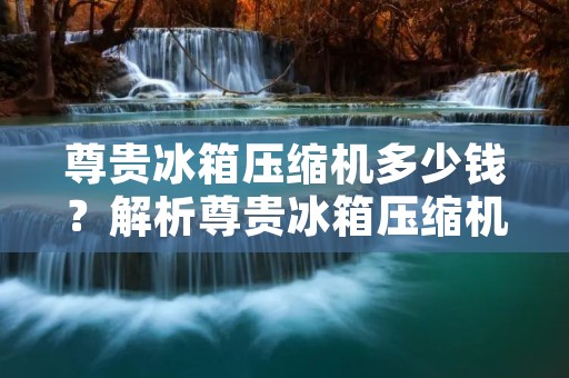 尊贵冰箱压缩机多少钱?解析尊贵冰箱压缩机的价格 尊贵冰箱压缩机多少钱?解析尊贵冰箱压缩机的价格