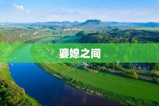 婆媳之间：建立和谐关系的关键