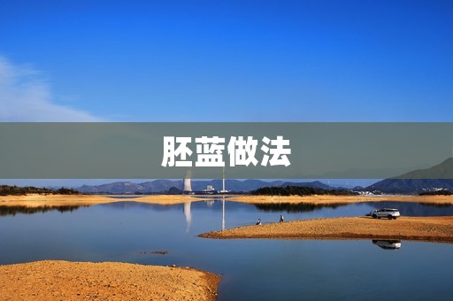 胚蓝做法：打造一道美味可口的传统中式菜肴