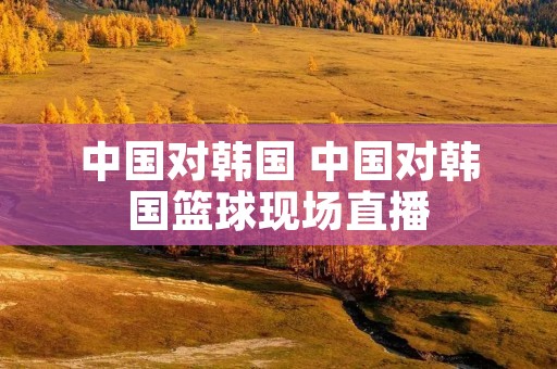 中国对韩国 中国对韩国篮球现场直播