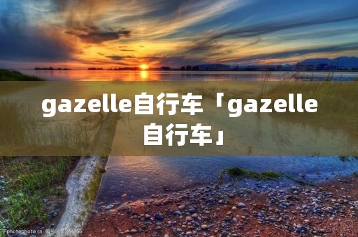 gazelle自行车「gazelle 自行车」