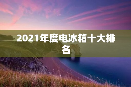 2021年度电冰箱十大排名：智能科技引领冷藏新时代