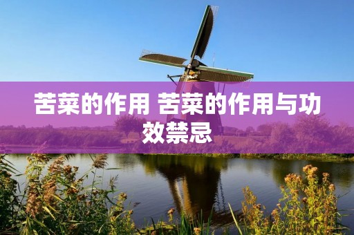 苦菜的作用 苦菜的作用与功效禁忌