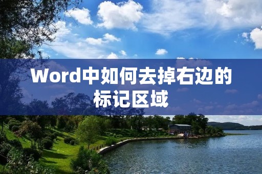 Word中如何去掉右边的标记区域