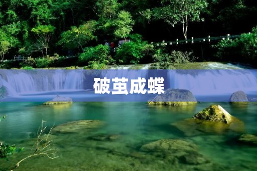 破茧成蝶:展翅飞翔的奇迹