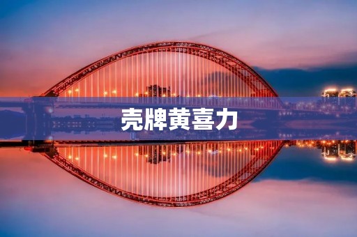 壳牌黄喜力:绿色能源的领航者 壳牌黄喜力:绿色能源的领航者