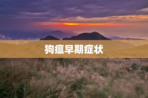 狗瘟早期症状:了解你的宠物健康的重要标志