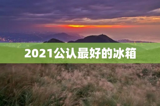 2021公认最好的冰箱：为您打造智能、高效和环保的冰箱选择