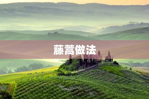 藤蒿做法：一道美味又营养的佳肴