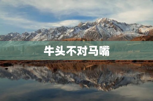 牛头不对马嘴