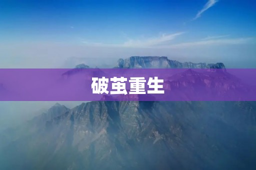 破茧重生:从蜕变到新生的奇迹