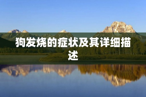 狗发烧的症状及其详细描述
