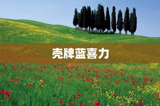 壳牌蓝喜力:为您的汽车提供最佳的润滑与保护 壳牌蓝喜力:为您的汽车提供最佳的润滑与保护