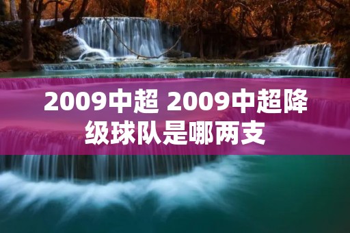 2009中超 2009中超降级球队是哪两支 2009中超 2009中超降级球队是哪两支