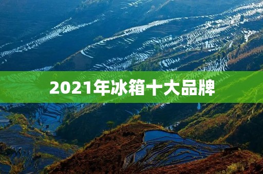 2021年冰箱十大品牌:为您推荐最值得购买的冰箱品牌 2021年冰箱十大品牌:为您推荐最值得购买的冰箱品牌