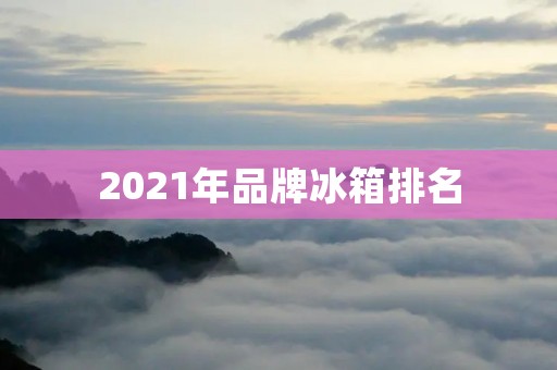 2021年品牌冰箱排名:功能先进、设计出众的品牌冰箱推荐 2021年品牌冰箱排名:功能先进、设计出众的品牌冰箱推荐