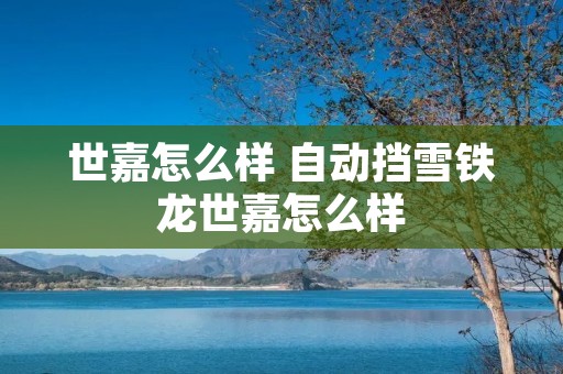 世嘉怎么样 自动挡雪铁龙世嘉怎么样