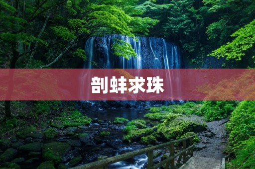 剖蚌求珠:探索内在的价值