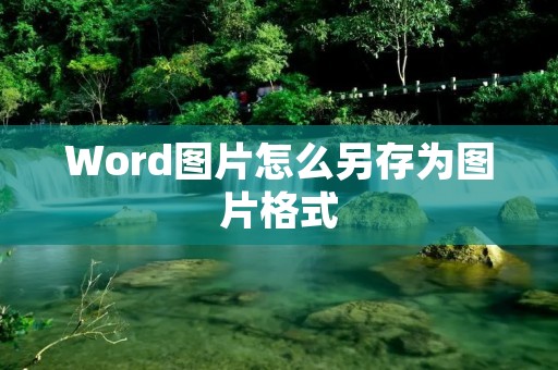 Word图片怎么另存为图片格式