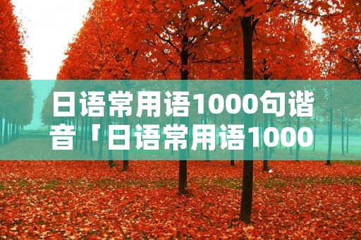 日语常用语1000句谐音「日语常用语1000句谐音早上好」
