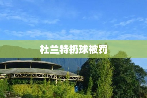杜兰特扔球被罚：职业球员行为规范的重要性