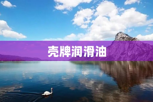壳牌润滑油:为您的机器带来卓越保护 壳牌润滑油:为您的机器带来卓越保护